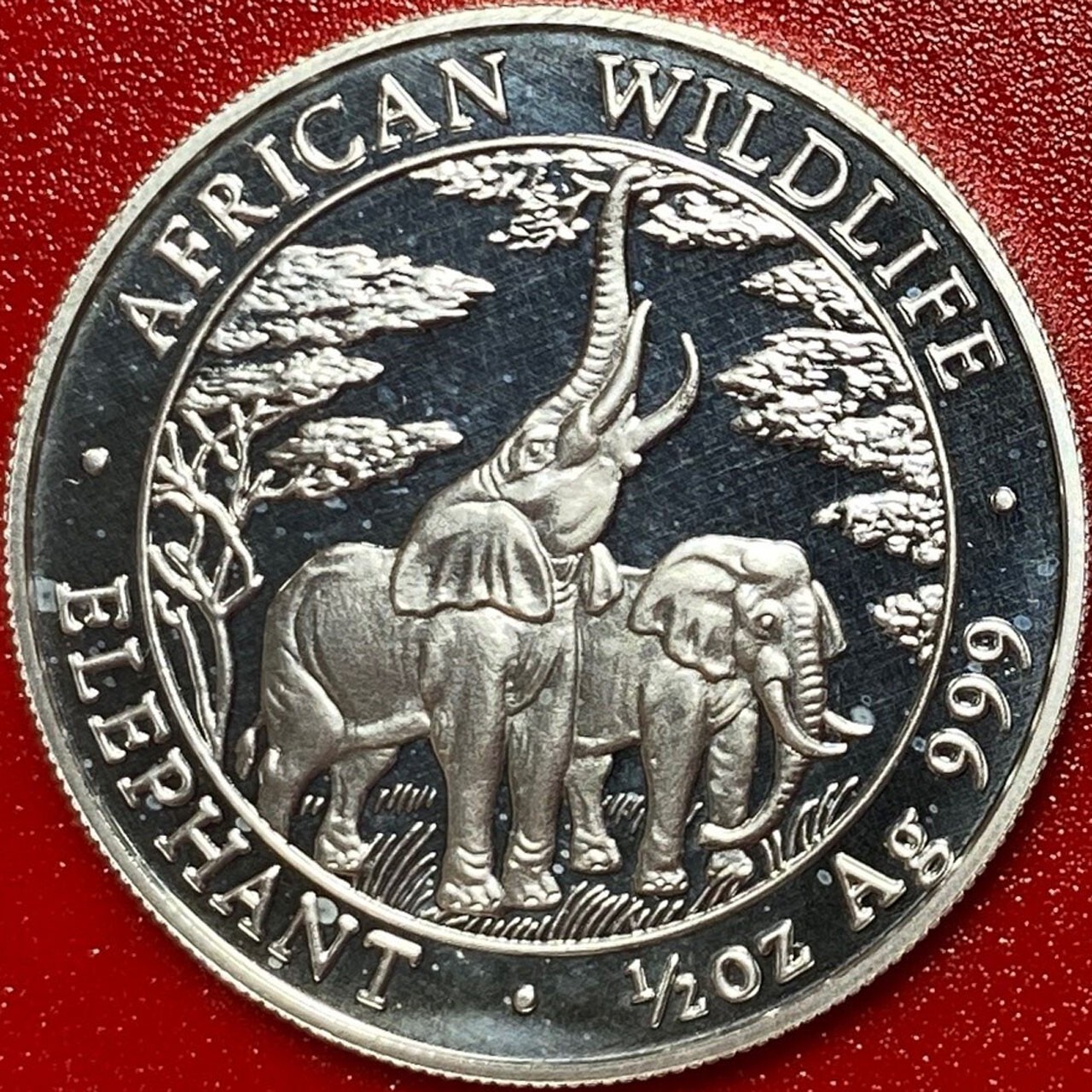 Picture 2 of 12