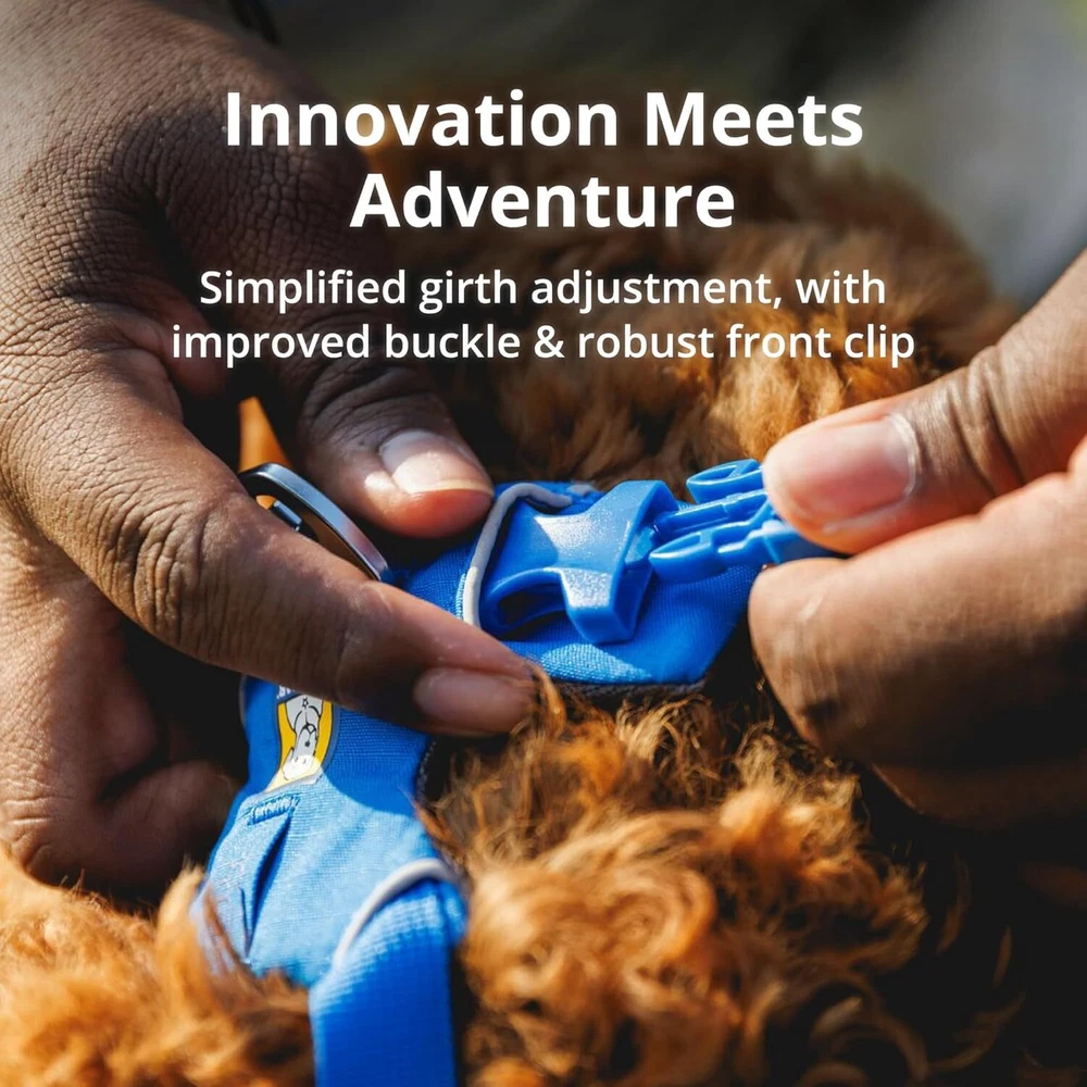 Dog Harness Reflective and Padded No Pull Harness for Training and Everyday