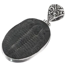 925 Sterling Silver Huge Intact Utah Trilobite Fossil Sterling Pendant, 1 7/8"