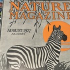 1927 Nature Magazine ZEBRA Edition — photo 4
