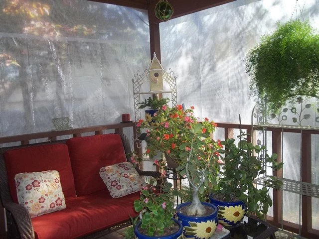 Telo occhiellato impermeabile 2x3 Telone copritutto pesante bianco trasparente - Immagine 4 di 4