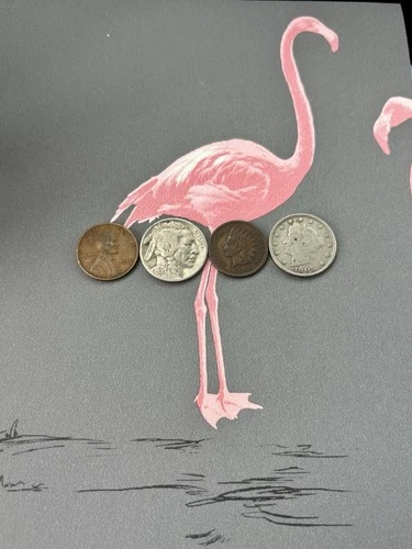 U.S. Coin Lot! Indian Head Cent Wheat Penny Liberty V & Buffalo Nickel. FREE S&H