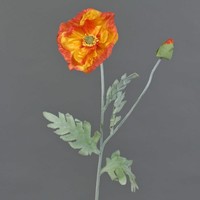 Artplants KüNstliche Mohnblume, Orange, 70Cm