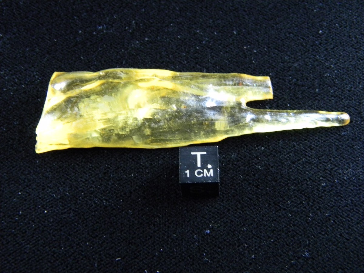 Copal De Madagascar Poli Avec Insectes - Ambre Naturel 7,56g - Pièce De Collection