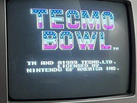 Tecmo Bowl & Tecmo Baseball NES Nintendo Game - Cartridge, Manuals & Sleeves