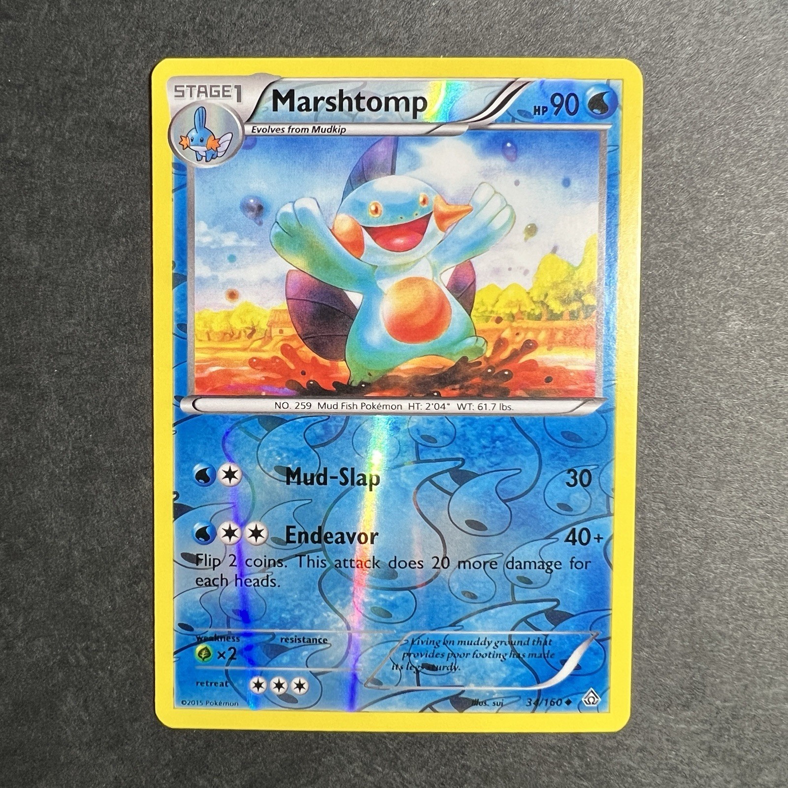 Pokemon Marshtomp 34/160 XY Primal Clash Uncommon Reverse Holo 2015