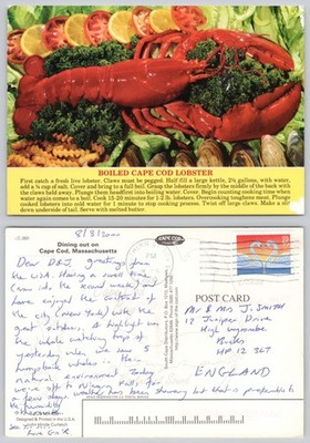 c43198 Boiled Lobster Cape Cod Massachusetts USA Postkarte 2000 Stempel