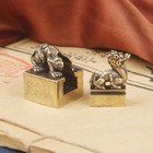 Bild 8 von 9