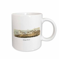 3dRose Piping Plover by John James Audubon Mug