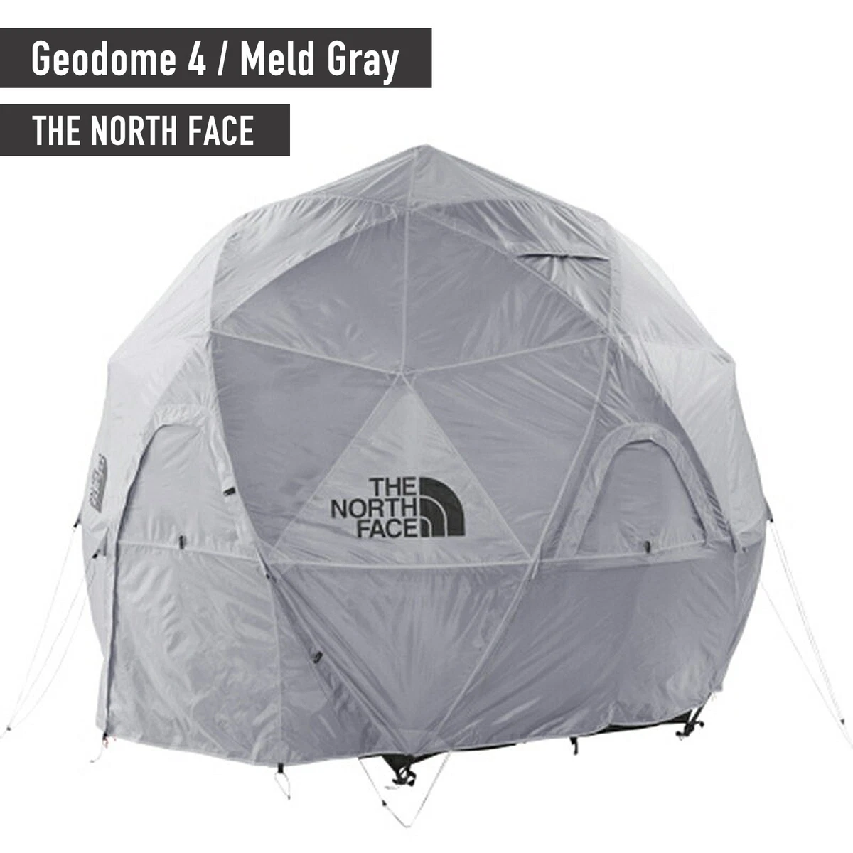 Geodome the north face online