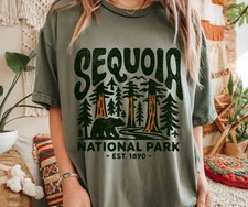 Sequoia National Park Graphic Tee  Vintage Wilderness Bear | Park Aesthetic