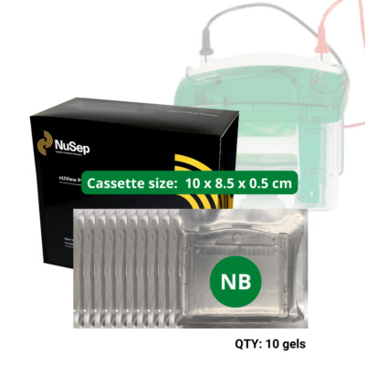 Tris-Glycine UV reactive Precast Gel - Biorad 10 well, 8% (10 gels /box)