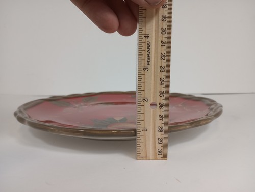 2007 Tracy Porter The Octavia Hill Collection Discontinued 11 inch Dinner Plate - Picture 8 of 8
