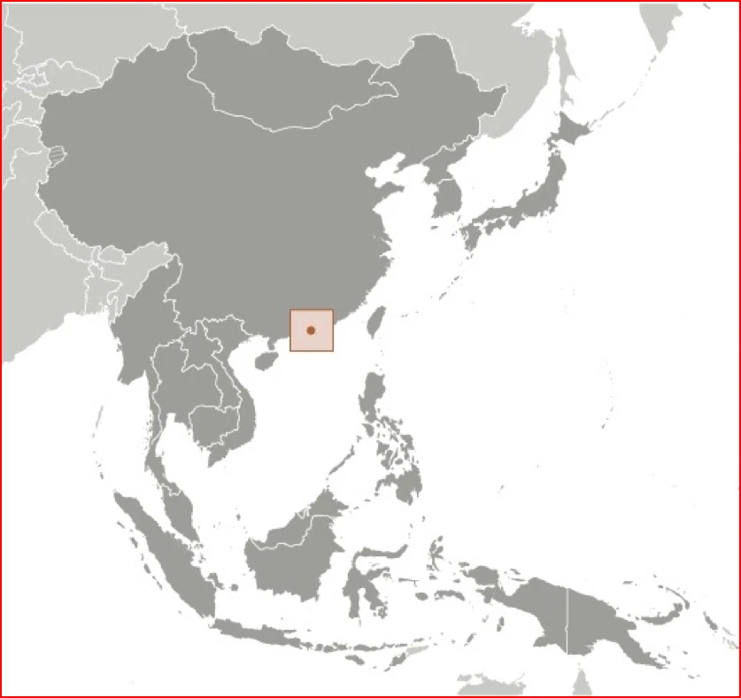 Valor Scott de $20,75 - 1985 flores de Hong Kong vida silvestre de Asia oriental CV MNH NH UMM Foto 4 de 4