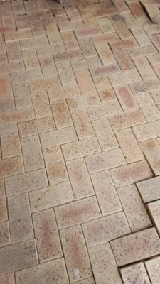 free brick pavers free