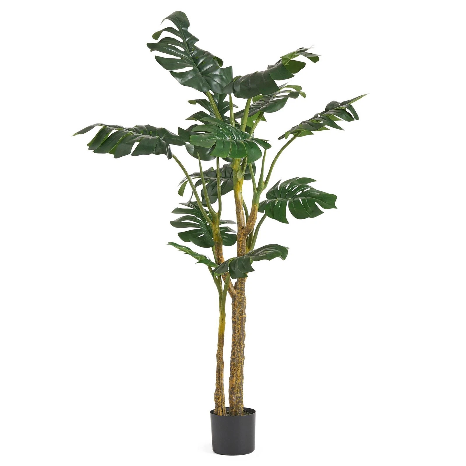 150cm Monstera Plant - 70420