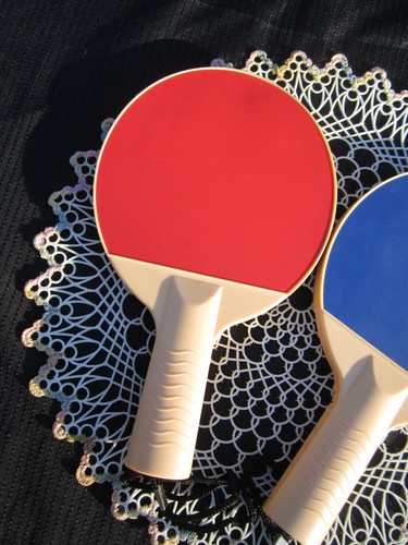 Set of 2 PING PONG PADDLES ONLY for SDW Games TV Virtual Ping Pong - Picture 6 of 12