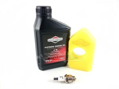 Briggs&Stratton Rasenmäher Service Set Serie 450, 550, 600 Luftfilter Zündkerze