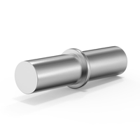 20 StüCk RegalbodenträGer 5 X 25 Mm, FachbodenträGer, Silber