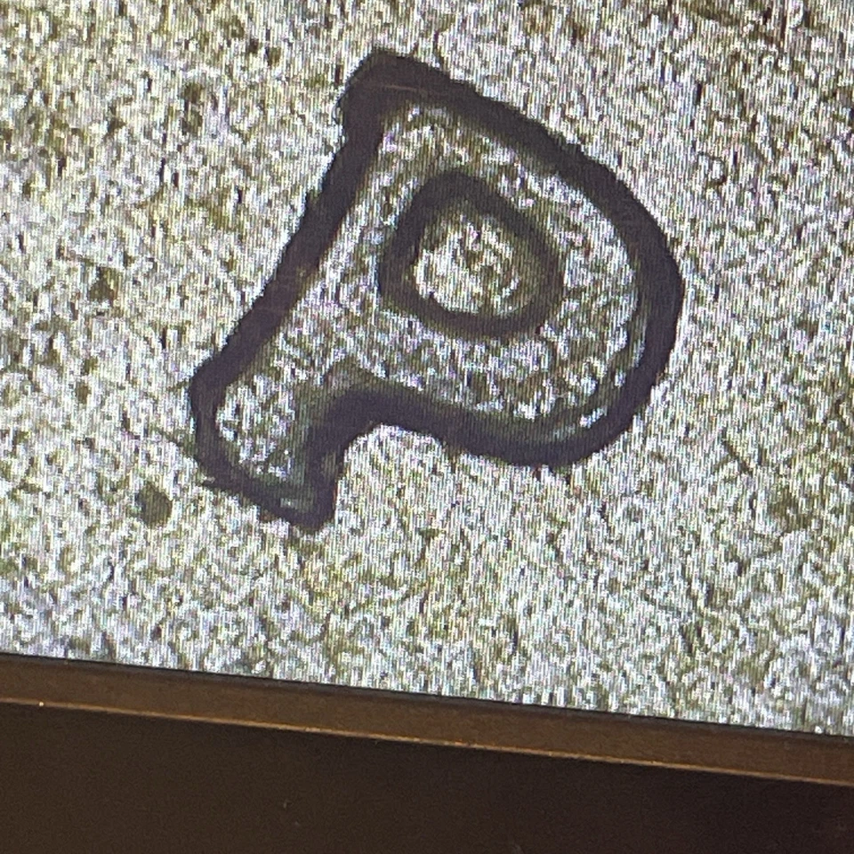 DDO FS-101 AND DDR! Satin Finish 2005 P Jefferson Bison Nickel Westward Journey - Image 3 of 4