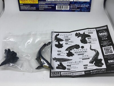 Bandai Mini collection ancient fish capsule full set of 5 | eBay