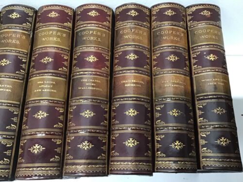 James Fenimore Cooper 1/2 Leather Binding Gold Gilding 30 Novels in 15 Volumes - Picture 3 of 24