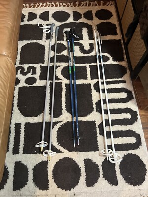 Ski Poles