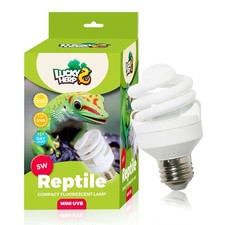 Mini UVA UVB Reptile Light 5.0 5W UVB Bulb for All Tropical and Sub Tropical ...