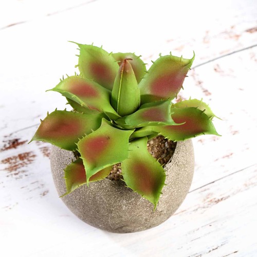3 Round Pots 5" Assorted Faux Aloe Succulent Plants Wedding Favors Centerpieces - 第 5/6 張圖片