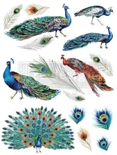 Peacock Dreams | Decor Transfers | Redesign with Prima Rub-on Transfers