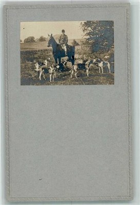 39782417 - Drift Hunting Beagel Horse Hunting