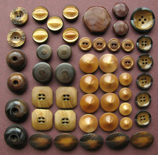Antique Vintage Vegetable Ivory Buttons VI 50 Pcs Sets Pairs Matching + Lot 1