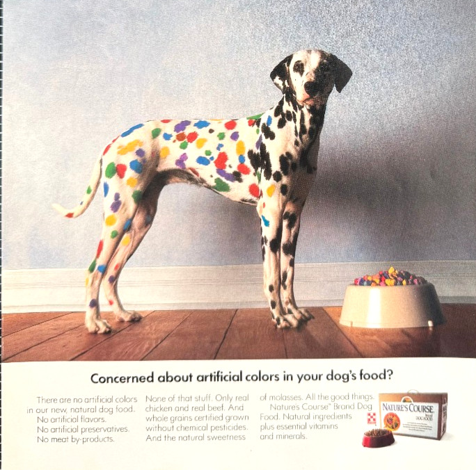 Dalmatian Rainbow Spots Colors Vintage Print Ad 1991