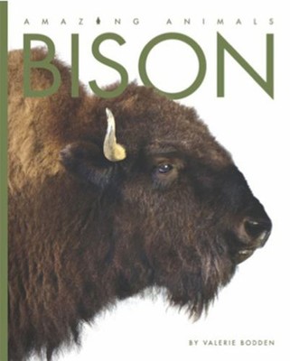 Amazing Animals: Bison Paperback Valerie Bodden
