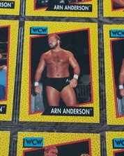WCW WORLD CHAMPIONSHIP WRESTLING  1991 TRADING CARD # 50 ARN ANDERSON