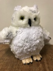 cuddly owl soft toy