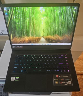 MSI GP66 Leopard 10UG 15.6'' i7-10875H 32GB 1TB SSD RTX 3070 8GB Gaming Laptop
