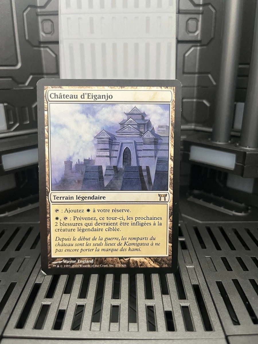Land Magic: The Gathering Individual Trading Card Games in French