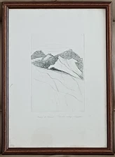 Gino Gandini acquaforte firmata prova di stampa incorniciata vetro