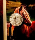 1 oz Fine Silver Round Sitting Bull/Horse