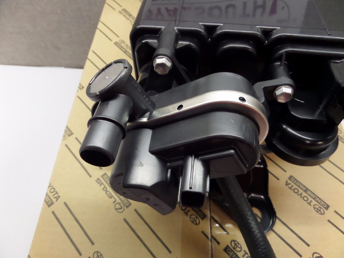 Scion xA xB 2006 EVAP Charcoal Canister Genuine OE OEM | eBay