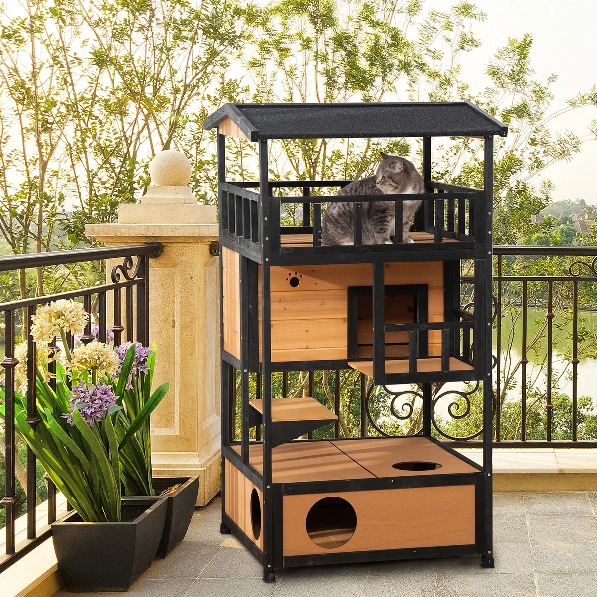 Outside top cat box