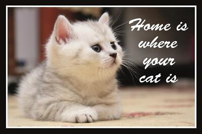 Top-Schilder, versch. Größen, Home is where your cat is, Kätzchen, neu & ovp
