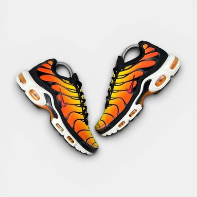 Nike Air Max Plus (TN) Sneaker Herren Gebraucht Gr. EU 40