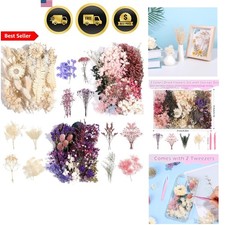 Dried Flowers Natural Multicolor for Crafts Decorations Resin Jewelry