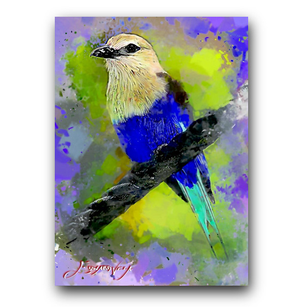 Blue-bellied Roller Art Card Limited 37/50 Edward Vela Signed (Animals Birds)