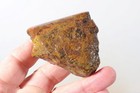 Morocco Kerrouchen Seam Agate 10.4 oz lapidary faced rough Lot C2 — photo 7
