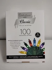 Celebration Classic 100 Indoor/Outdoor LED Multicolor Nostalgic Light 24.75 ft.