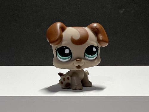Littlest Pet Shop Hasbro 2007 G1 • LPS #1197 Baby Boxer Dog Teal Eyes AUTHENTIC