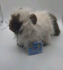 Webkinz Ganz Plush Himalayan Cat With New Sealed/Unused Code Tag Kids Cute Gift